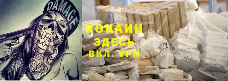 где можно купить   Лахденпохья  Cocaine VHQ 